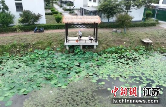 台创园李庄村,垂钓爱好者持竿垂钓。陈鹏 摄 台创园李庄村,垂钓爱好者持竿垂钓。陈鹏 摄