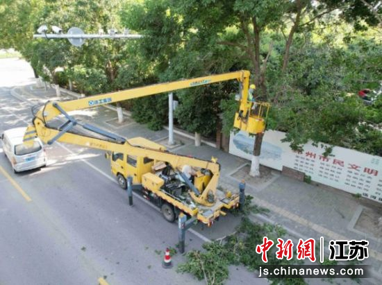 工作人员对遮挡交通设施的徒长枝、过密枝进行精准修剪。邳州市委宣传部 供图 工作人员对遮挡交通设施的徒长枝、过密枝进行精准修剪。邳州市委宣传部 供图