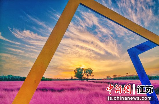 九里风景区。丹阳市委宣传部 供图 九里风景区。丹阳市委宣传部 供图