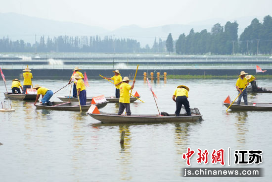 捕捞现场。南京市高淳区委宣传部 供图 捕捞现场。南京市高淳区委宣传部 供图