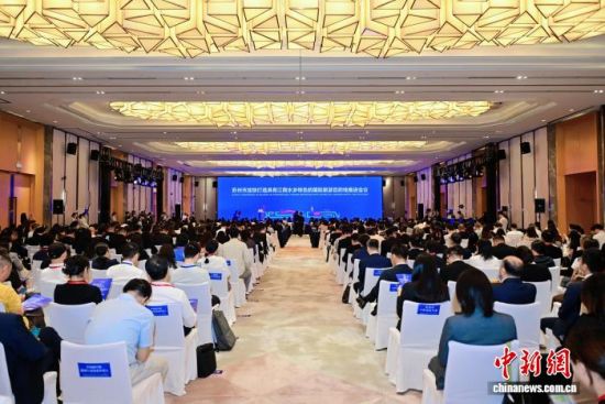 会议现场。主办方供图 会议现场。主办方供图