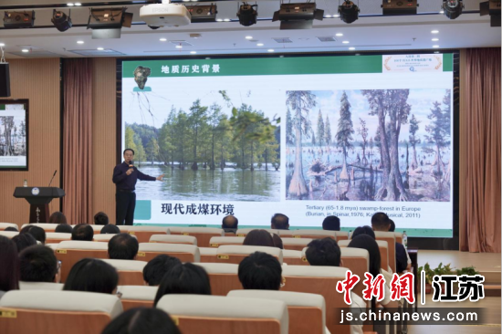 中国科学院南京地质古生物研究所所长、研究员王军做“植物庞贝城”报告。中国科学院南京地质古生物研究所 供图 中国科学院南京地质古生物研究所所长、研究员王军做“植物庞贝城”报告。中国科学院南京地质古生物研究所 供图