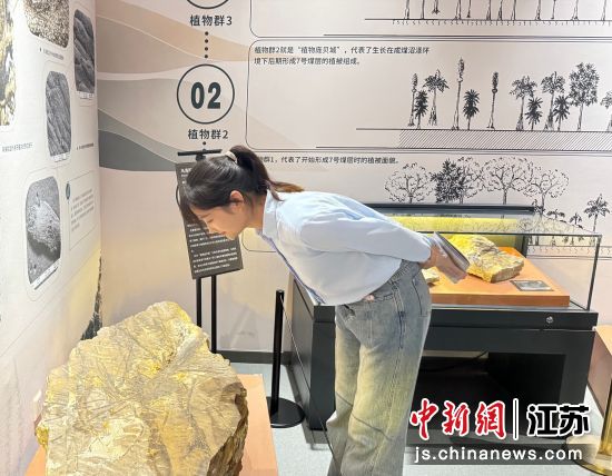 民众在预展现场参观。中国科学院南京地质古生物研究所 供图 民众在预展现场参观。中国科学院南京地质古生物研究所 供图