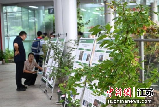 展览现场。南京中山植物园 供图 展览现场。南京中山植物园 供图
