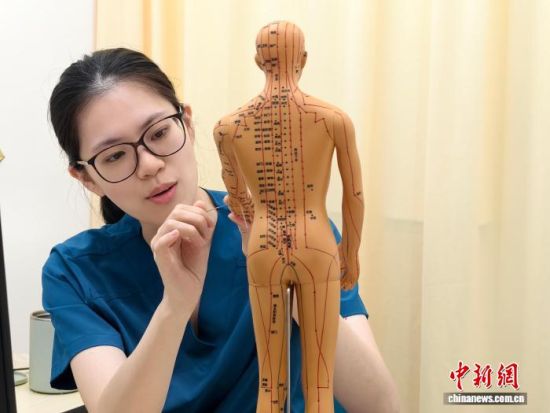 10月11日,徐钰淇借助人体经络模型,介绍针灸穴位与经络知识。中新社记者 徐珊珊 摄 10月11日,徐钰淇借助人体经络模型,介绍针灸穴位与经络知识。中新社记者 徐珊珊 摄