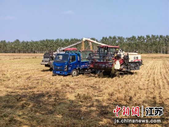 秸秆还田机将稻秆粉碎翻埋入土。邳州市委宣传部 供图 秸秆还田机将稻秆粉碎翻埋入土。邳州市委宣传部 供图