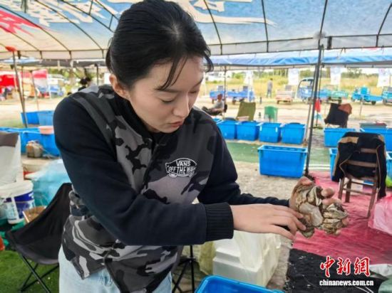 10月20日,江苏苏州巴城镇,农贸市集中满是售卖大闸蟹的蟹农。 中新社记者 钟升 摄 10月20日,江苏苏州巴城镇,农贸市集中满是售卖大闸蟹的蟹农。 中新社记者 钟升 摄