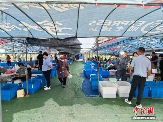 10月20日,江苏苏州巴城镇,一位蟹农展示自家养殖的大闸蟹。 中新社记者 钟升 摄 10月20日,江苏苏州巴城镇,一位蟹农展示自家养殖的大闸蟹。 中新社记者 钟升 摄