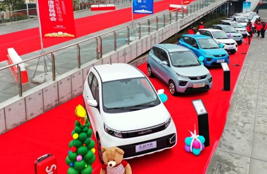 奇瑞商用车开瑞弘安汽车营销大会现场展示的样车。 摄影 李传新