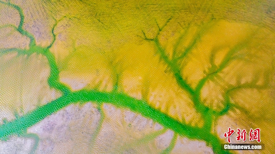 ͼƬ