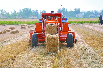 中国新闻网|江苏