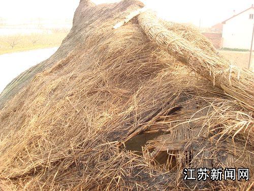 来瞅瞅富裕大盐城东台的小别墅,东台人都住这