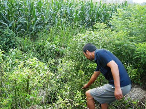 江苏滨海新闻_江苏滨海网_江苏滨海新闻2015