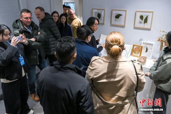 αǲιۡӹҡ2025гԻϾίṩͼ