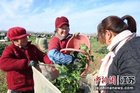 �����������ղ��ˡ����� ��