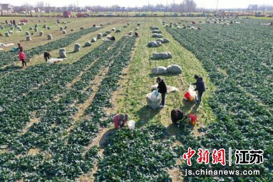 ���˵�����æ��װ�����Ƴӡ����� ��