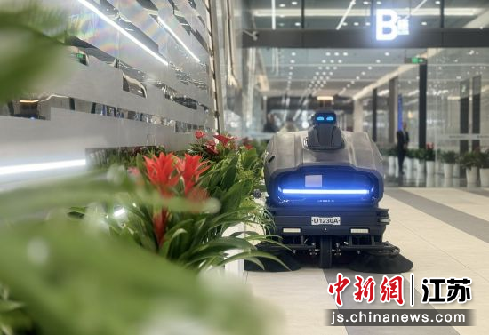 �칫������������ ���� ��