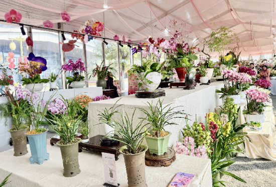 ���໨�����涷�ޡ���С�� ��