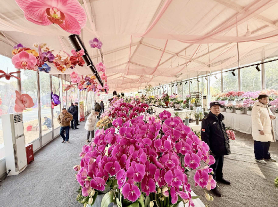 ���໨�����涷�ޡ���С�� ��