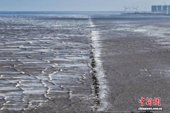 12��21�գ��������������Ļƺ����������㴦εΪ׳�ۡ�(���˻���Ƭ) ���������� �� ��