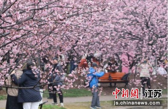 �����ο�̤���ͻ����Ͼ���ɽֲ��԰ ��ͼ