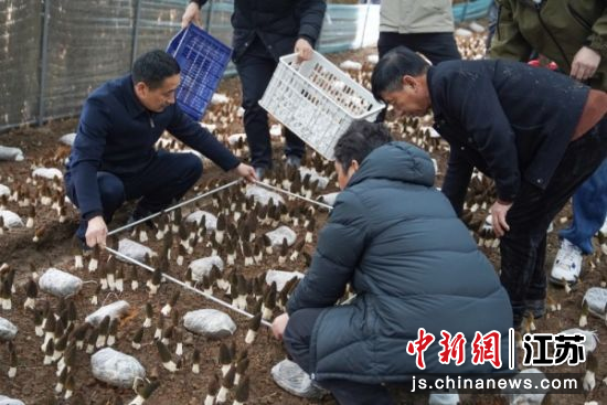 ����鹤����Ա��ȡ����԰��1��������5��С������ʵ�⡣¹¥������ ��ͼ