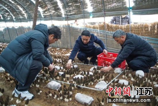 ʵ���ֳ���¹¥������ ��ͼ