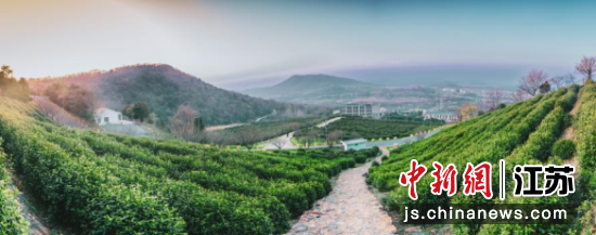 ţ��ɽ���ڲ�������� ��