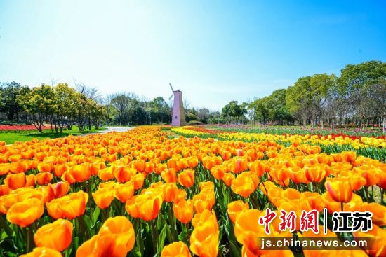 ʢ�ŵ������㡣�ͳ��� ��ͼ