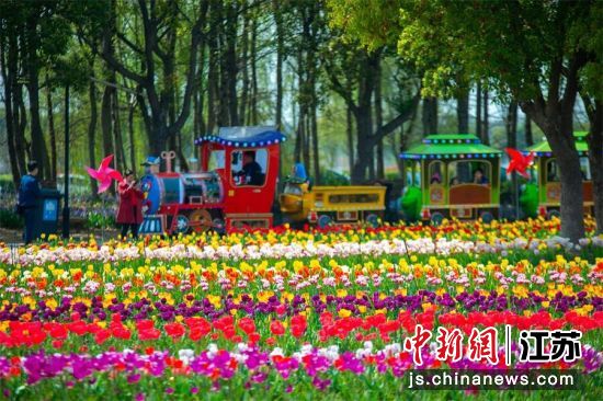 ��԰���⡣�ͳ��� ��ͼ