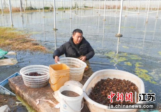 ��ֳ���ڴ���Ϻ������Ϻ������ ��