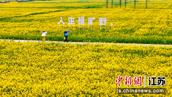 ������ģ������Ƭ�Ͳ˻�������к����� ��ͼ