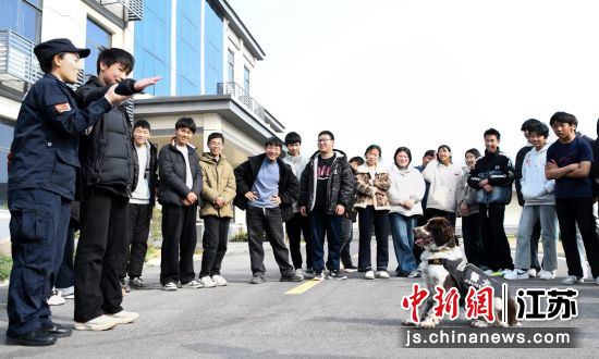 ��Ȯ����������ѵ��Ա���ɵĴ����������ǳ��������ع����� ��ͼ