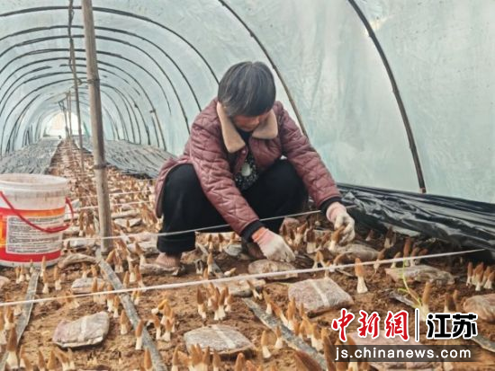 �ֵ���С�������Ǿ�������ռ������� ��