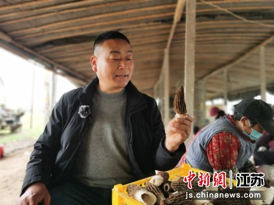 �µϿ���������ֲ��Ǿ���ÿĶ�����տɹۡ�½�ͱ� ��