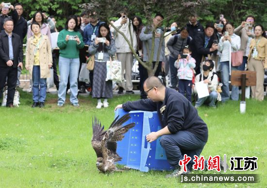 �������Ź���ʽ���Ͼ��к�ɽɭ�ֶ���԰ ��ͼ