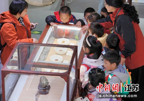 ���������껨ʯ���ʹ�԰�ιۡ������� ��