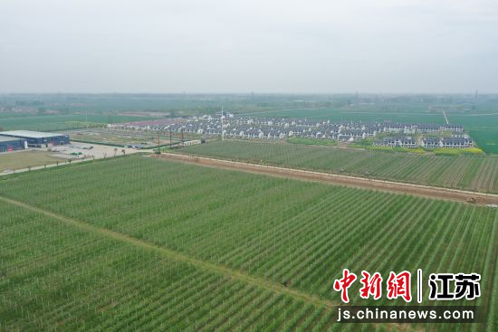 ������Ķƻ��԰�����׾� ��