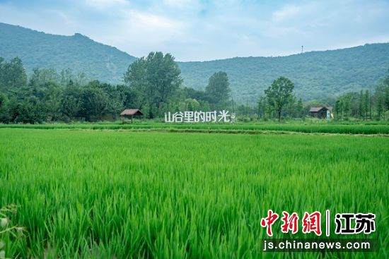 ���ô塣�Ͼ����������ֿ����ü��� ��ͼ