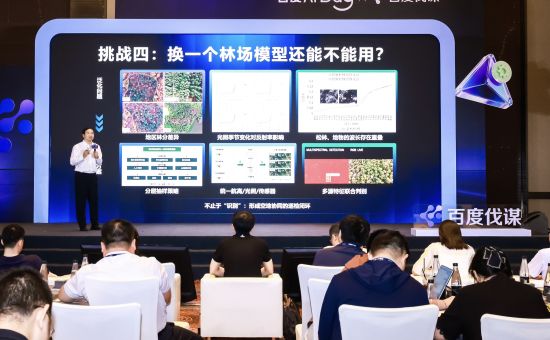 通过校企合作,AI可以为松树顽疾做“早筛”。百度集团供图