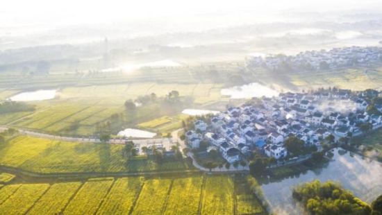 第十四届中国·高淳国际慢城金花旅游节活动 图片作者:高淳国际慢城管委会提供