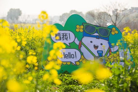 第十四届中国·高淳国际慢城金花旅游节活动 图片作者:高淳国际慢城管委会提供