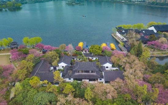 南京莫愁湖公园一景。夏树 摄