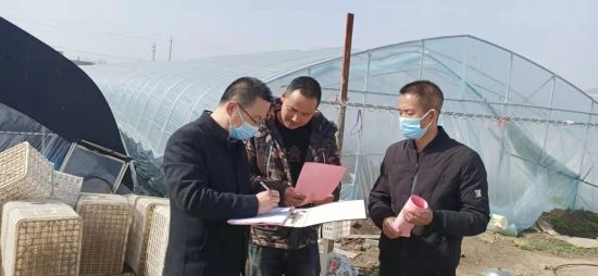 农业技术人员深入田头。