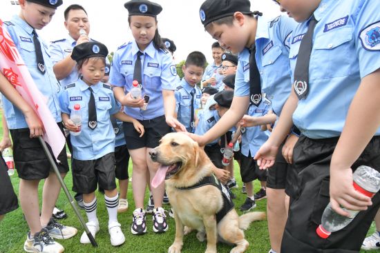 “警娃”与警犬亲密接触。蔡尧 摄
