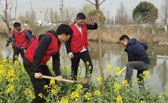 志愿者们手拿锄头、水桶等劳动工具,扛起树苗,挥动锄头,干劲十足,共同守护绿水、蓝天、净土。